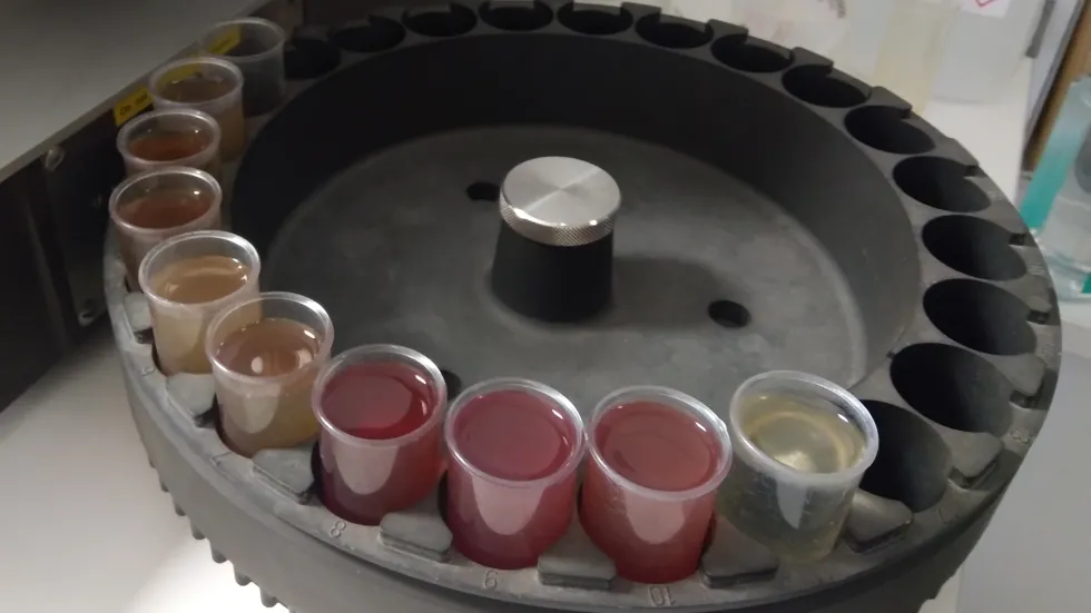 Sűrűségmérés - küvettákban a minták